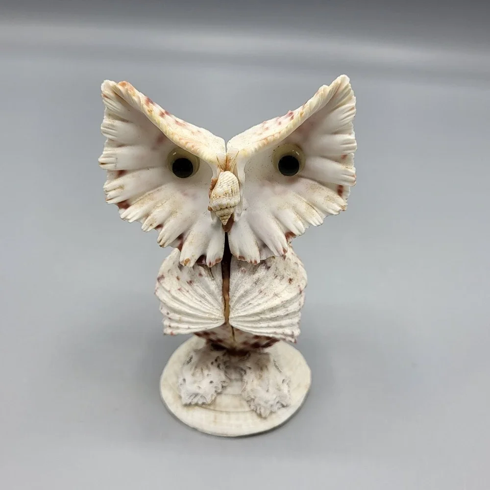 Vintage Googly Eyes Handcrafted Seashell Owl Beach decor Boho Folk Art 4
